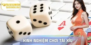 kinh nghiệm chơi tài xỉu