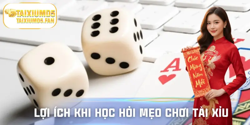 Lợi ích lớn khi biết mẹo chơi tài xỉu