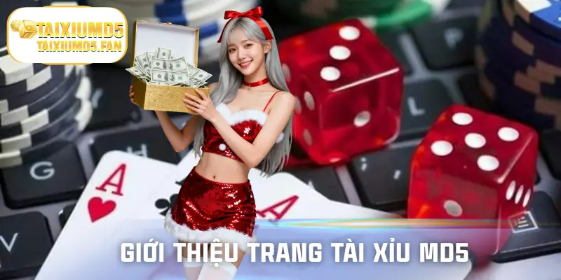 Thông tin tổng quan về trang web Tài xỉu Md5 Online